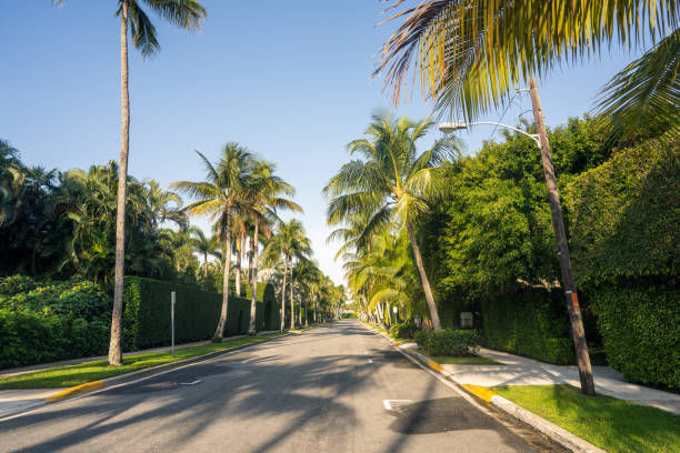 ヤシの木が並ぶ住宅街、ゴールドビーチ、マイアミ、フロリダ州 - dade county ストックフォトと画像