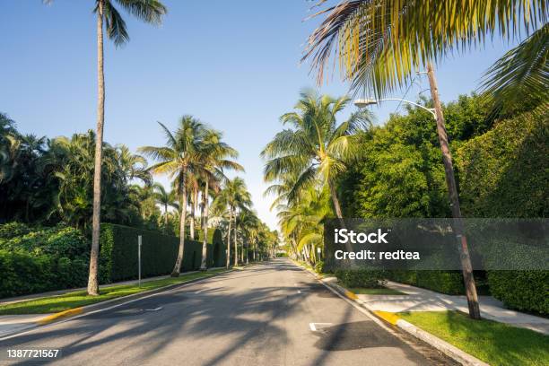 Palm Tree Lined Residential Area Lined Street With Gold Beach Miami Florida Stock Photo - Download Image Now