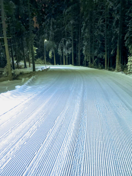 istock Cross country ski track seen at night 1387721906