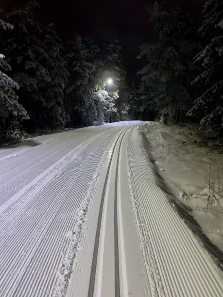istock Cross country ski track seen at night 1387722583