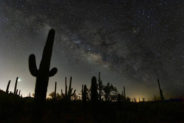 istock Milky way over saguaro cactus 1387726351