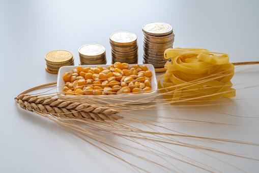 Ear of corn, corn, next to pasta (tagliatelle) and coins. Increase in the price of wheat, pasta and products. Shortage of wheat and corn.