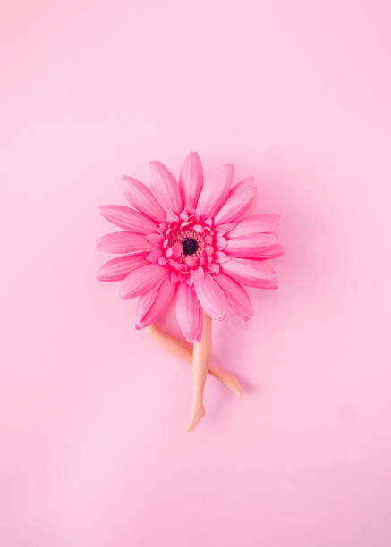 istock Women's legs below a pink gerbera flower against pastel pink background. Surreal spring or summer concept for card or web banner. Minimal happy vibes design 1387729509
