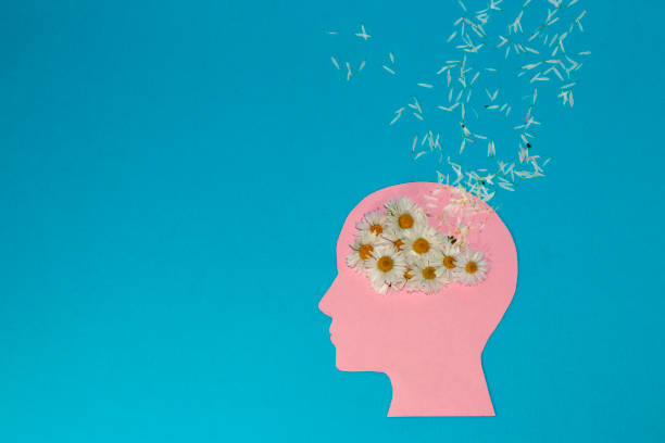 istock pink paper head on a blue background, instead of a daisy brain whose petals flew all around, creative concept creative mind sowing ideas, falt design 1387735487