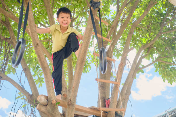 Cute Asian kindergarten boy child having fun facing challenge, trying to climb on the tree at home backyard on nature, Free play, Early Childhood Practice, Outdoor play for healthy little kids