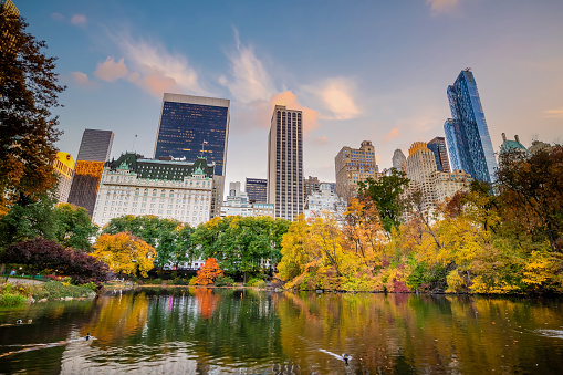 Central Park in autumn  in midtown Manhattan New York City USA