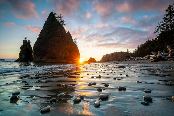 istock Olympic national park landscape in usa 1387746033
