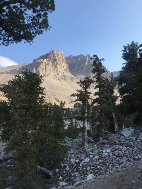 Great Basin Mountains of the Great Basin area of Nevada great basin national park stock pictures, royalty-free photos & images