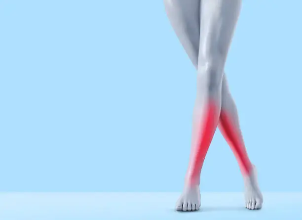 3d render illustration of female legs standing with shin pain area on blue background.