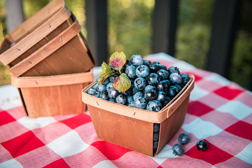 Fresh Blueberries in Wood Pint Basket