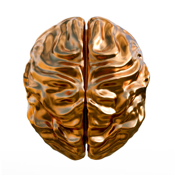 istock 3d render illustration of golden human brain isolated on white background. 1387753088