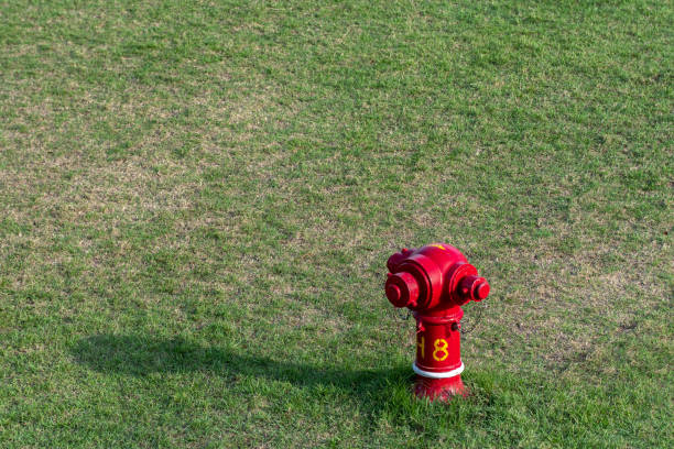Water sprinkler for fire saving on a lawn