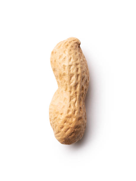 땅콩  - peanut nut heap isolated 뉴스 사진 이미지