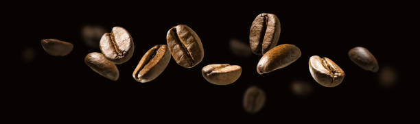 kaffeebohnen im flug auf dunklem hintergrund - coffee bean coffee crop cafe isolated stock-fotos und bilder