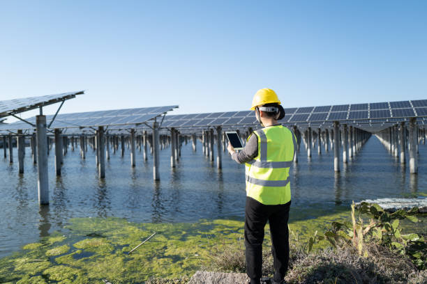 istock Back view of female engineer using tablet at solar power plant 1387775237