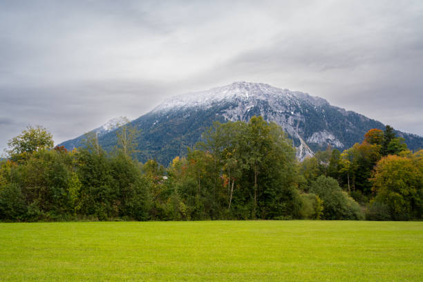 Landscape with green grass, trees and a mountain with a snowy peak