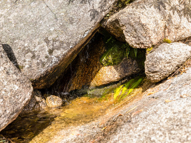 natural park formed by granite rocks called La Pedriza in the Sierra de Guadarrama, Madrid, Spain