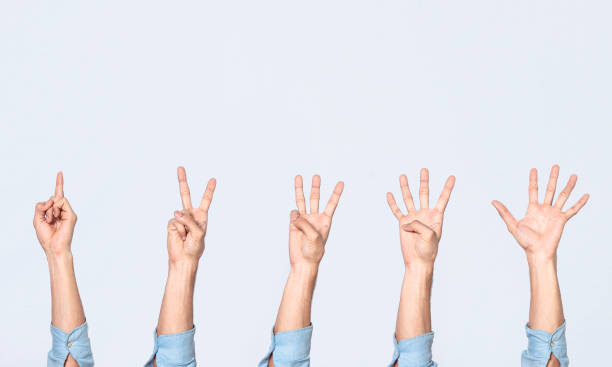 istock Hands counting countdown, arms counting the numbers, hand fingers counting one to five, numbers countdown 1387782764