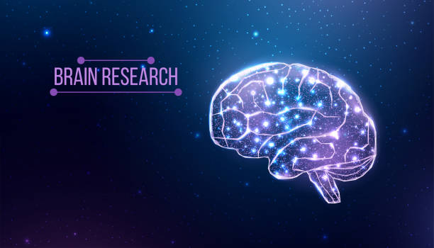 istock Human brain research. Wireframe low poly style. Concept for medical, brain cancer, neural network. Abstract modern 3d vector illustration on dark blue background. 1387784133