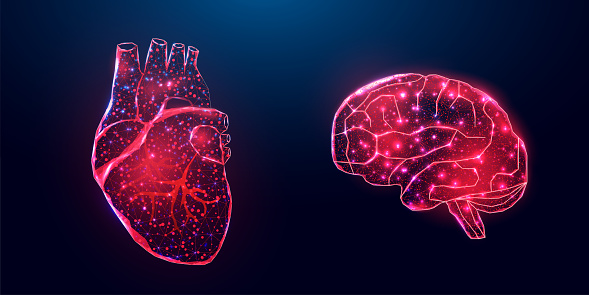 Human heart and brain. Wireframe low poly style. Concept for medical, treatment of the hepatitis. Abstract modern 3d vector illustration on dark blue background.