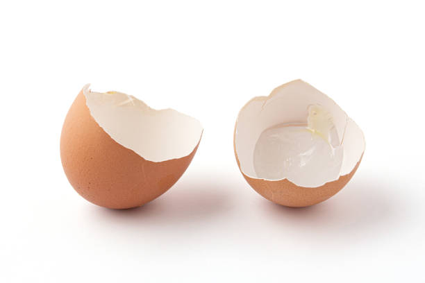 broken eggshells stacked isolated on a white background. half of broken eggshells isolated on a white background. The eggshell is broken into 2 pieces. Eggshells are oval, brown, brittle and thin, easily broken. eggshell stock pictures, royalty-free photos & images