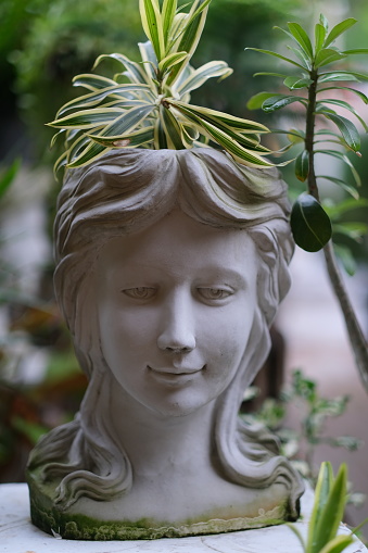 A flower pot shaped as an antique woman's head, with plant sprouting out of it