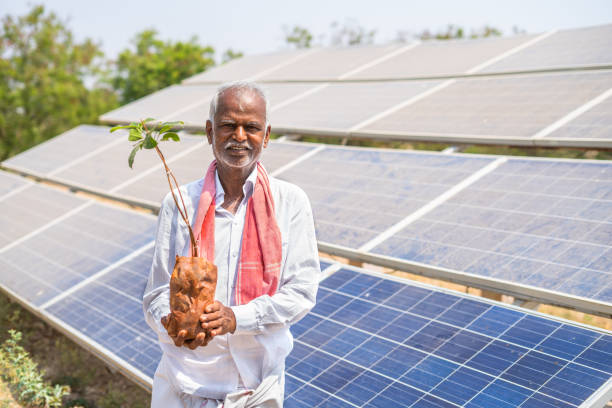 Handheld shot Indian farmer holding plant in hand in front of solar planel at farmland - concept sustainable lifestyle, renewable energy and eco-friendly agriculture Handheld shot Indian farmer holding plant in hand in front of solar panel at farmland - concept sustainable lifestyle, renewable energy and eco-friendly agriculture. solar energy