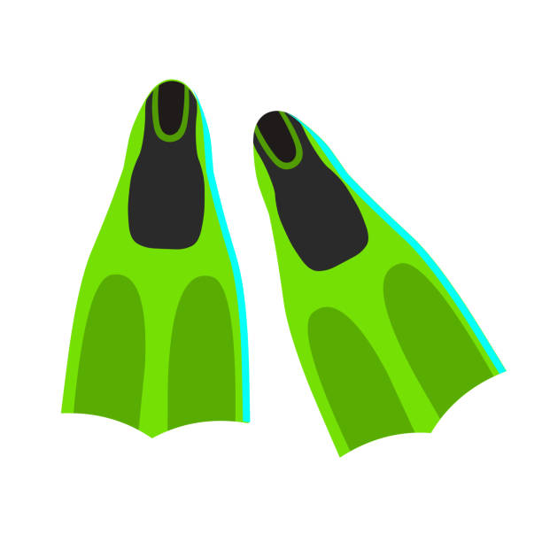 Green flippers for diving isolated on a white background. Diving gear. Things you need on the beach. Green flippers for diving isolated on a white background. Diving gear. Things you need on the beach. Vector illustration in flat style. diving flippers stock illustrations