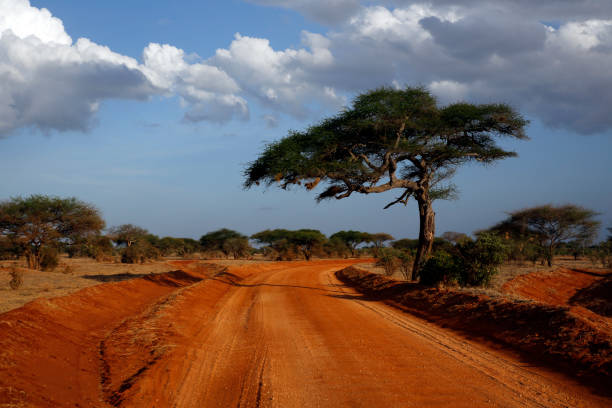 istock Tsavo East National Park 1387800960
