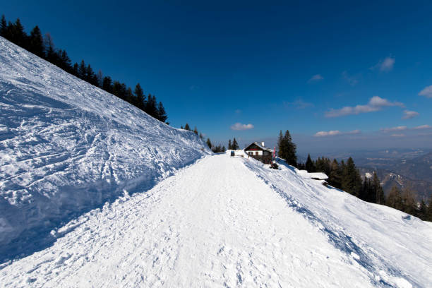 ośrodek narciarski st. gilgen austria - przyroda i sport - snow textured textured effect winter zdjęcia i obrazy z banku zdjęć