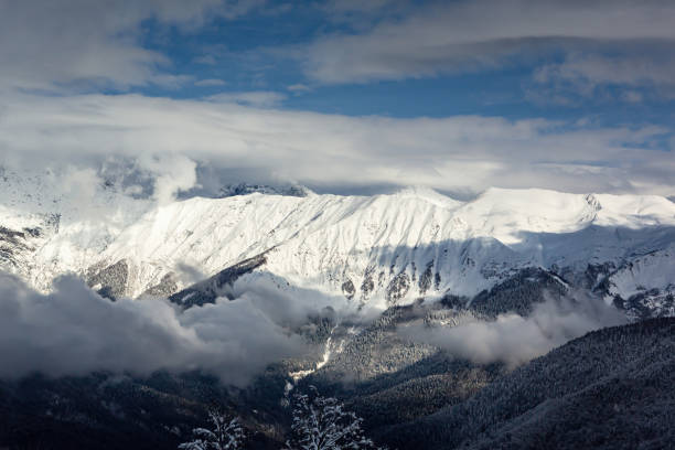 istock Snow-covered mountain ranges covered with coniferous forests in the clouds 1387802309
