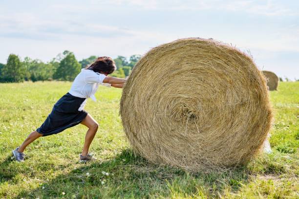 istock Beautiful young woman is pushing a haystack on a green field. 1387804671