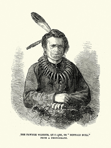 Vintage illustration of Portrait of the pawnee warrior, Qu-u-aek, or Buffalo Bull, 1858, 19th Century