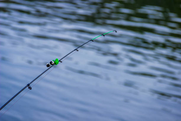 istock a fishing rod 1387806703