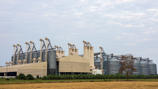 Corn plantation with grain silo