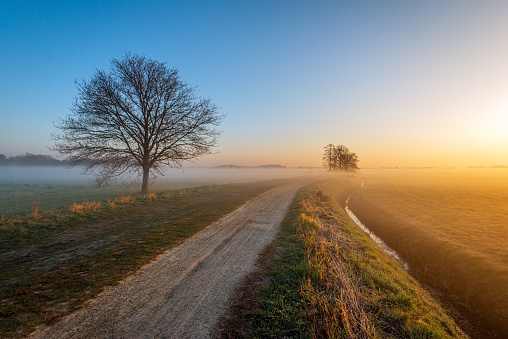 It's early in the morning and the sun is just rising. The morning mist hangs over the fields in the Dutch polder. The orange colored light of the sun gives a mystical effect to the landscape.