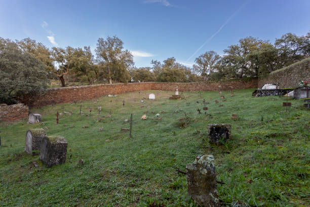 Old abandoned cemetery stock photo