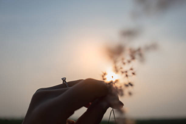 gros plan de la bague en diamant sur le doigt de la femme tout en tenant la fleur avec un fond de coucher de soleil. amour, saint-valentin, relation et concept de mariage. mise au point douce et sélective. style silhouette. - precious gem photos photos et images de collection