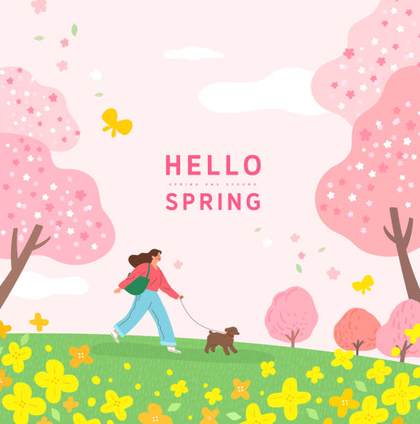 Spring template Spring template with beautiful flower. Vector illustration forsythia garden stock illustrations