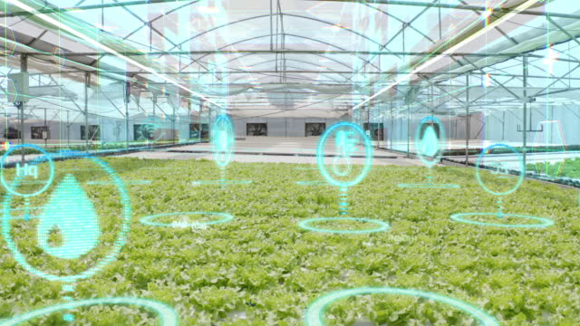 Hydroponic farm with Augmented reality and virtual reality interfaces, Futuristic agriculture technology, and Smart agriculture concept, Industrial revolution concept