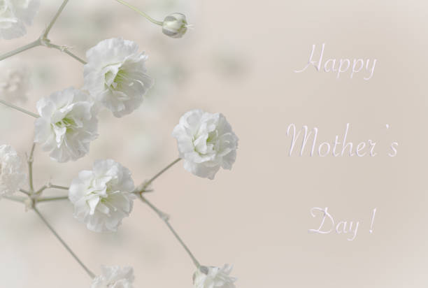 Happy Mothers Day text with babys breath flowers Happy Mothers Day text with closeup of baby's breath flowers on a pink background mothers day horizontal close up flower head stock pictures, royalty-free photos & images