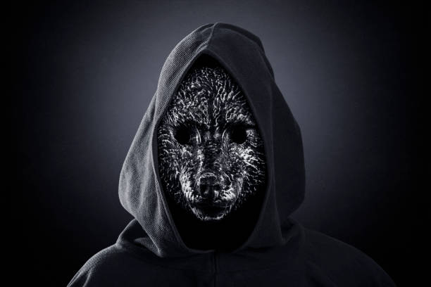 Wolf in hooded cloak at night over dark misty background