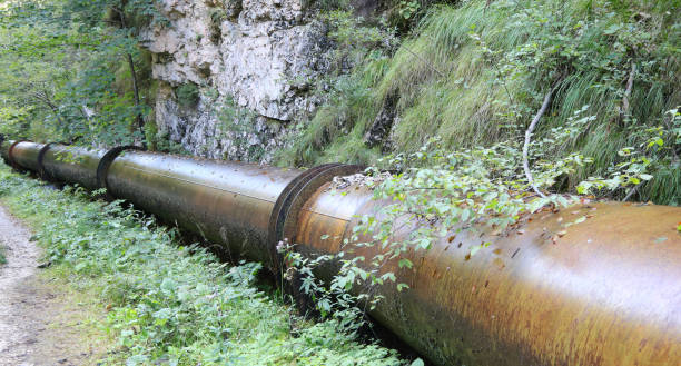istock metal pipe for transporting the liquid in the forest 1387820088