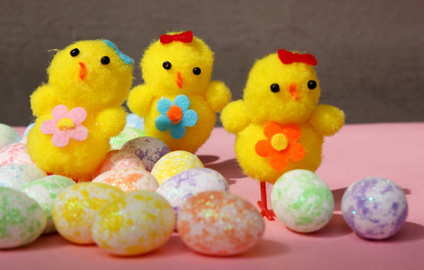 Three chickens on a pink background. Cute fluffy yellow Easter chicken with eggs. Copy space. toy chicken with colored testicles. Easter. Summer