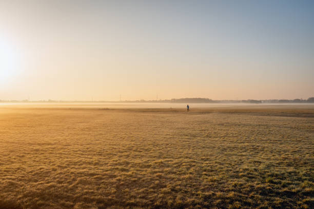 femme courant dans un polder néerlandais - distance running jogging running fog photos et images de collection