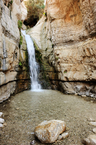 istock Streams and waterfalls Nature Reserve Ein Gedi 1387826174