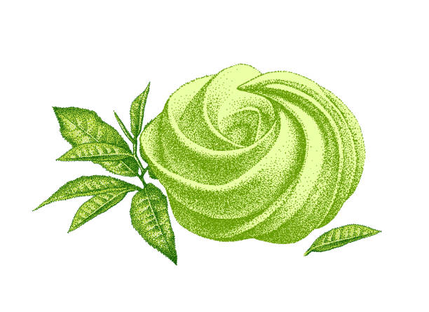 сладкий торт маття с листьями. десерт со вкусом зеленого чая. эскиз сладости с ингредиентом порошка маття. винтажный стиль. нарисованный от  - green tea tea scented mint stock illustrations