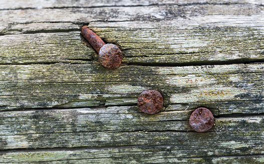 Close-up of old wood background with three rusty nails. Wooden texture. Surface vintage tone.
