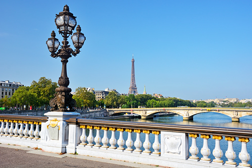 Pont Alexander III bridge over the Seine in Paris, France