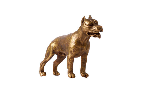 Young Latin woman from Bogota Colombia between 30 and 39 years old, walks with her canine pet through the park while taking it to a piggy bank with its chain seeking to relieve itself while the woman uses her mask to avoid contagion of Covid 19